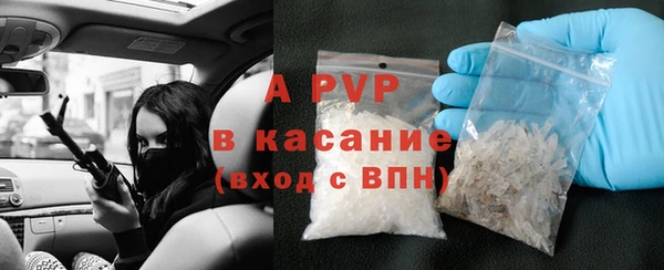 дживик Тайга