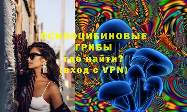 дживик Тайга