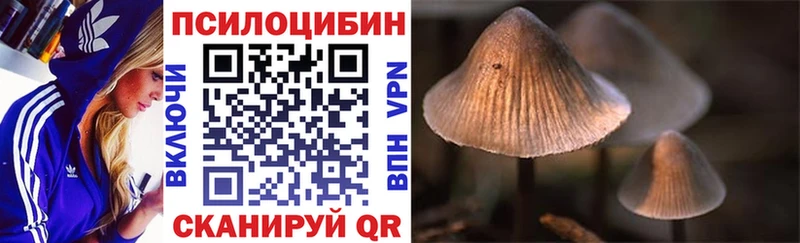 Галлюциногенные грибы мухоморы  Туринск 